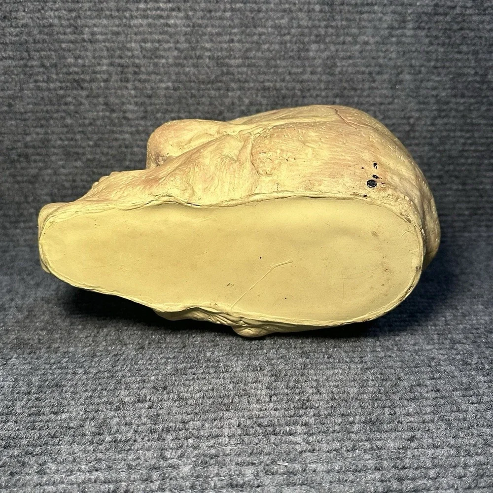 VTG Halloween Easter Unlimited Rubber Foam Filled Prop Skull‎ Life Like Deco